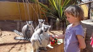 Monkey Park