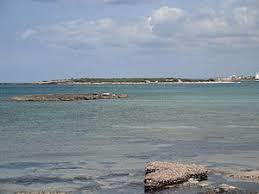 Isla de Na Moltona