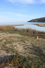 Río Pícaro