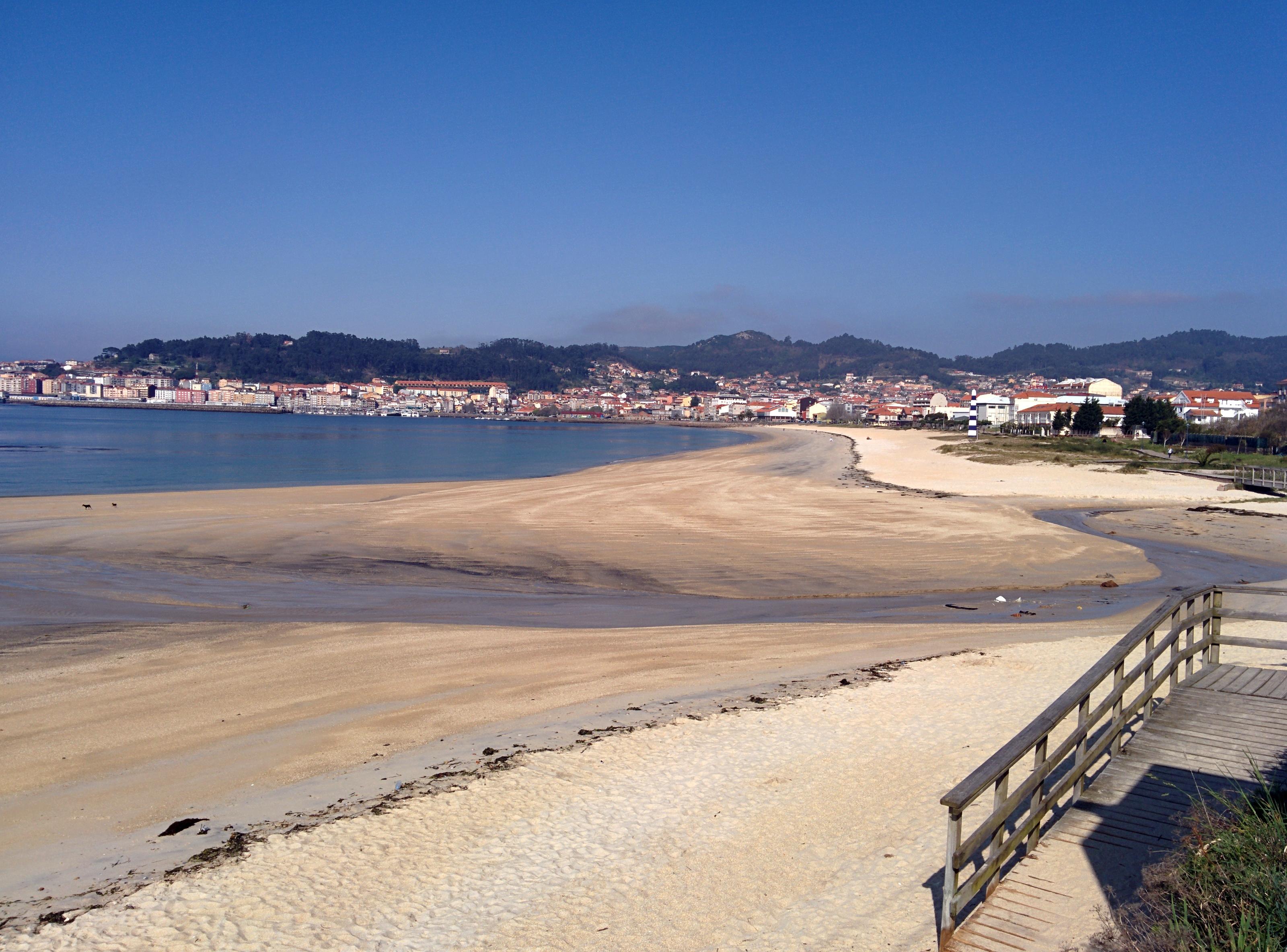 Rodeira