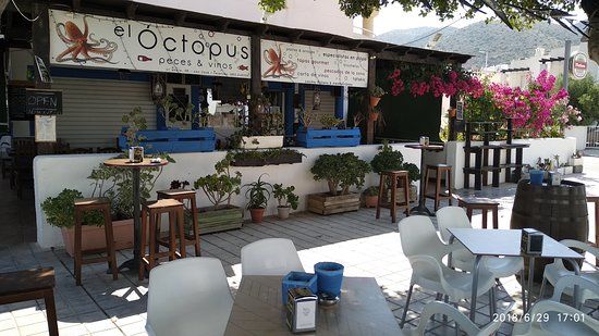 El Óctopus